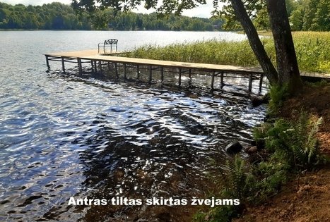 Homestead "Gintarinė rasa"
