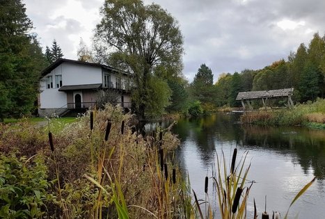 Educational and entertaining program "In the world of gramophones"