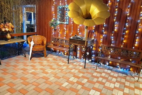 Educational and entertaining program "In the world of gramophones"