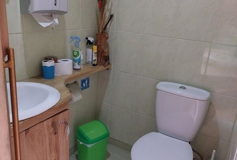 Homestead "Geltonžiedė liepa"