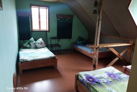 Homestead "Geltonžiedė liepa"