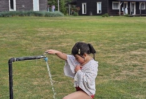 Homestead of L. and S. Sadauskai. Summer terrace