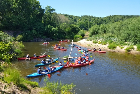 Plaukimas keturviete kanoja
