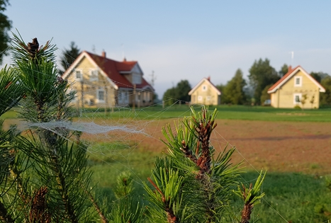 "Panemunio" homestead