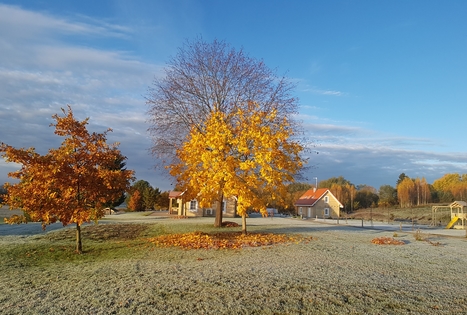 "Panemunio" homestead