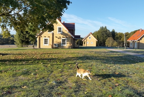 "Panemunio" homestead