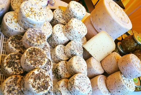 Dairy farm of Aleksandra Riaukiene