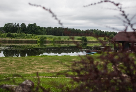 Homestead of Bronius Juzelskis