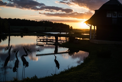 Homestead of Bronius Juzelskis