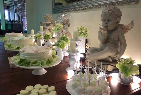 Homestead of Gintas Vasiliauskas "2 broliai"