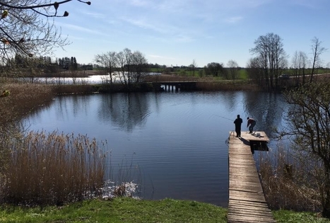 Homestead "Panekelpių kaimas"