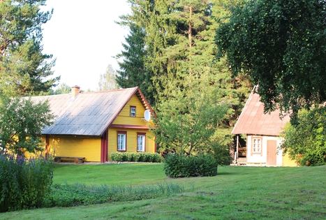 Homestead "Janinos vienkiemis"