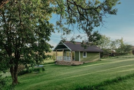 Alanta's horses - organic farm