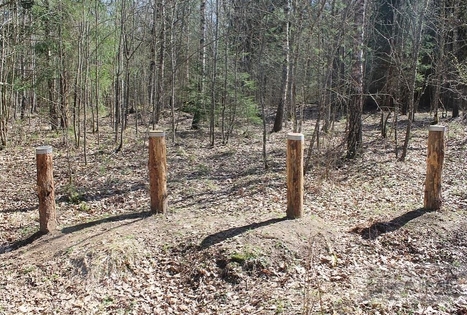 4 stichijų miško labirintas