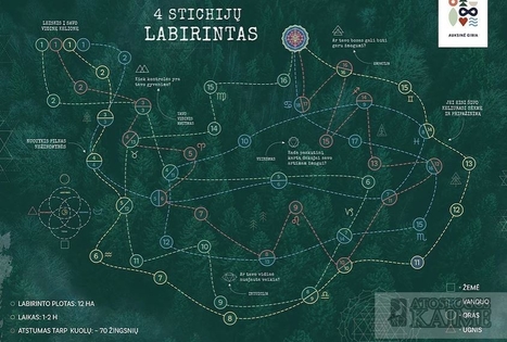 4 stichijų miško labirintas