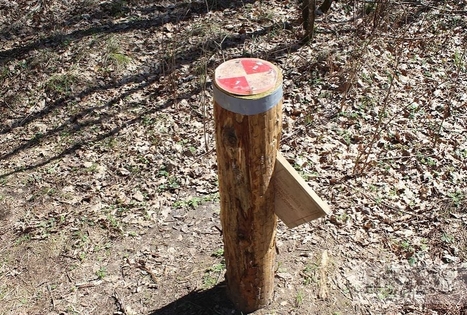 4 stichijų miško labirintas