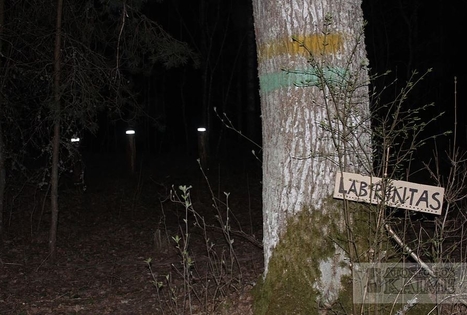 4 stichijų miško labirintas