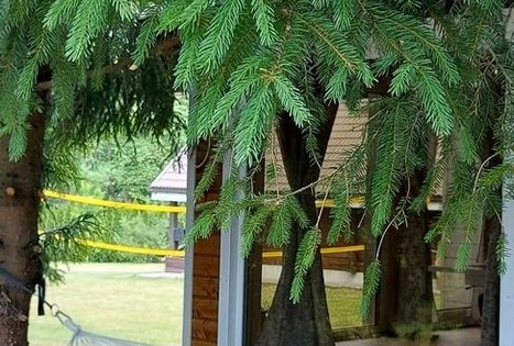 Sodyba „Narūnas“