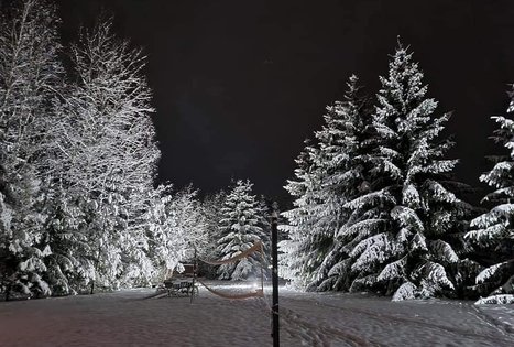 Sodyba „Narūnas“