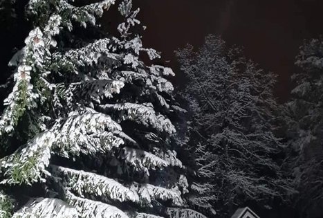 Sodyba „Narūnas“