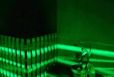 Sodyba „Narūnas“