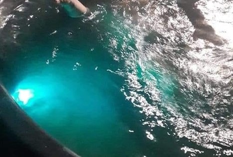 Sodyba „Narūnas“