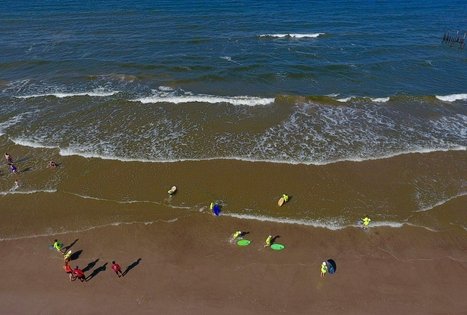 Sea Paradise Surf Farm and Camping