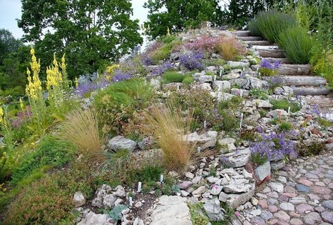 Botanical Garden of VU Siauliai Academy