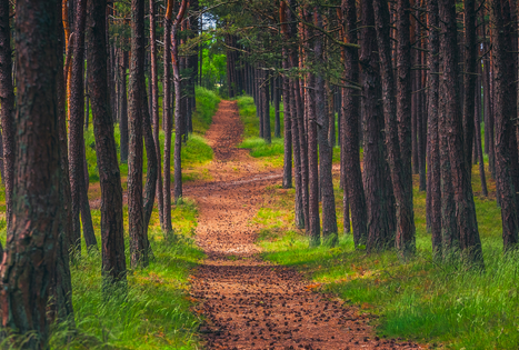 Kuršių nerija: unikalus smėlio kopų pusiasalis