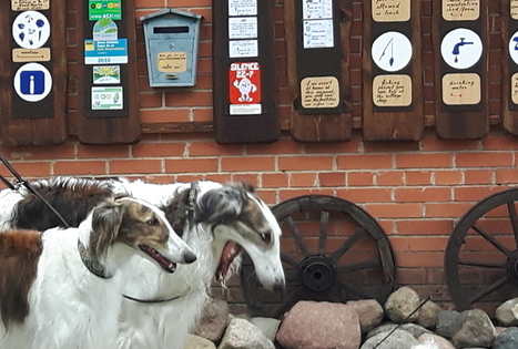Kemperių stovyklavietė „Pajiešmeniai“