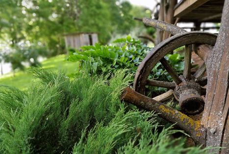 Sodyba „Butkeliai“