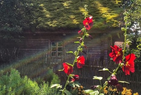 Kleboniskis village household museum