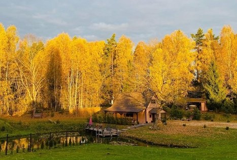 Sodyba „Liežio oazė“