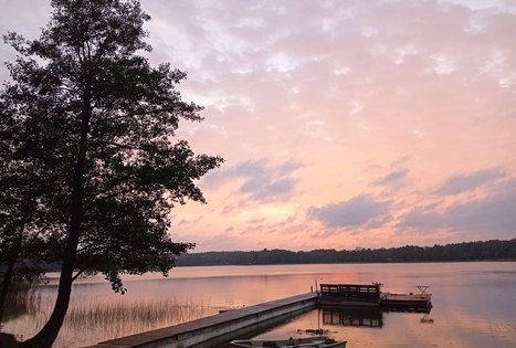 Sodyba „Vilko guolis“