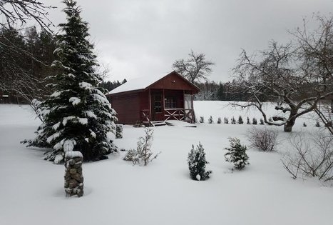 Homestead "Šniūrai"