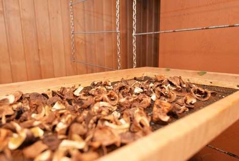 Sodyba „Antalakaja“