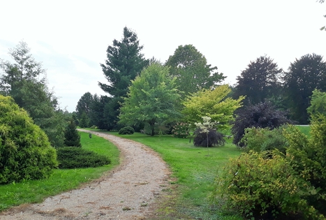 Dubrava arboretum