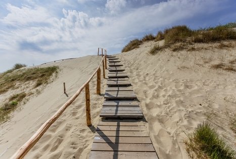 Parnidis educational trail