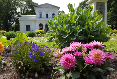 Švėkšnos dvaro parkas