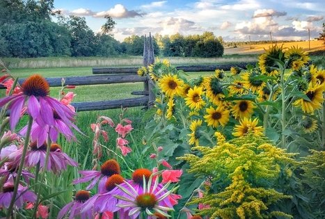 Kleboniskis village household museum