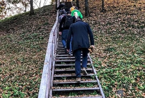 Pažintinis žygis