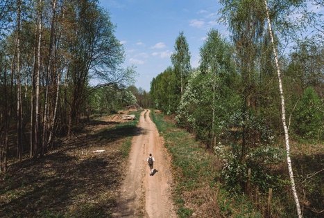 Forest Trail 51. Lazdijai – Veisiejai.