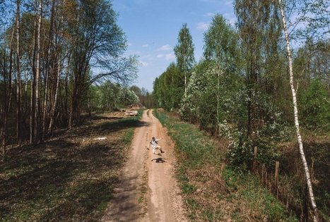 Forest Trail 51. Lazdijai – Veisiejai.