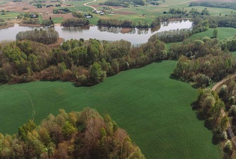 Forest Trail 51. Lazdijai – Veisiejai.