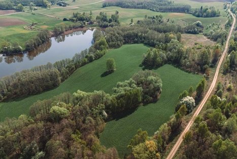 Forest Trail 51. Lazdijai – Veisiejai.