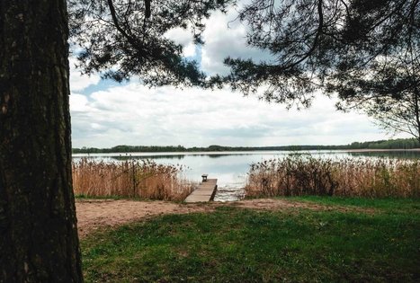 Forest Trail 52. Veisiejai – Trikojis.