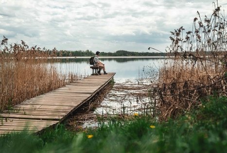 Forest Trail 52. Veisiejai – Trikojis.