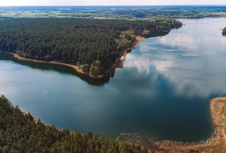 Forest Trail 52. Veisiejai – Trikojis.