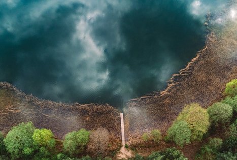 Forest Trail 52. Veisiejai – Trikojis.