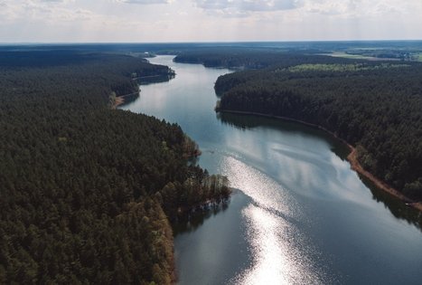 Forest Trail 52. Veisiejai – Trikojis.